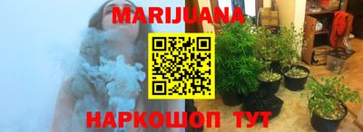 индика Кандалакша