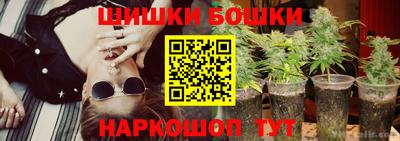 индика Кандалакша