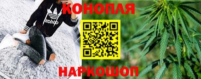 индика Кандалакша