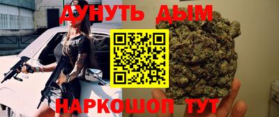индика Кандалакша