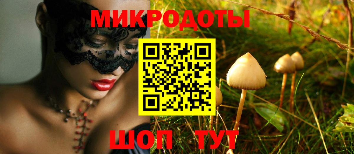 купить закладку  Вход с VPN  Красный Сулин  Галлюциногенные грибы Psilocybe 